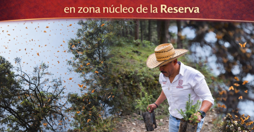 Inversión de 1 mdd fortalece la protección de la Reserva de la Biósfera de la Mariposa Monarca
