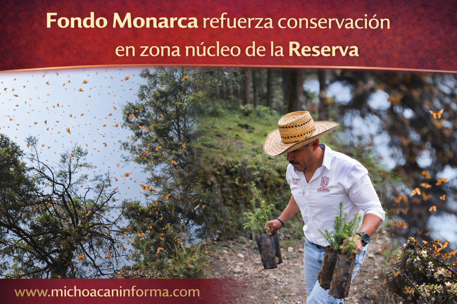 inversion-fondo-monarca-reserva-mariposa-monarca