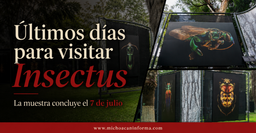 Exposición fotográfica “Insectus” termina el 7 de julio en Zoológico de Morelia