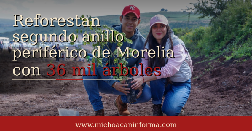 SCOP reforesta segundo anillo periférico de Morelia con 36 mil árboles