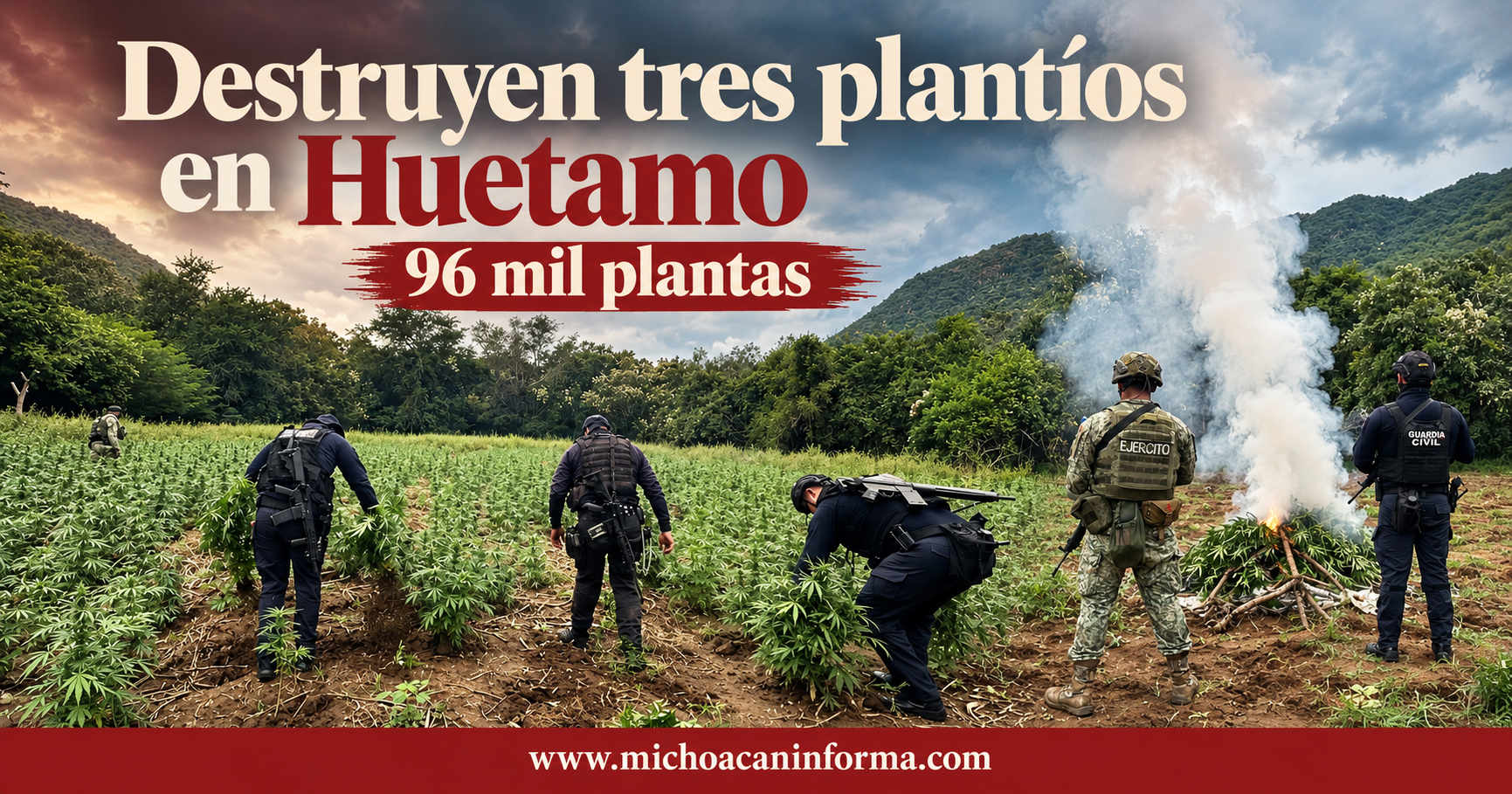 Destruyen tres plantíos en Huetamo